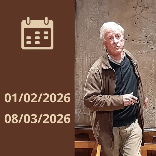 Visite guidée et gratuite de la basilique : les prochaines dates