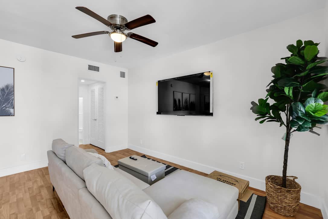 Bluejay room