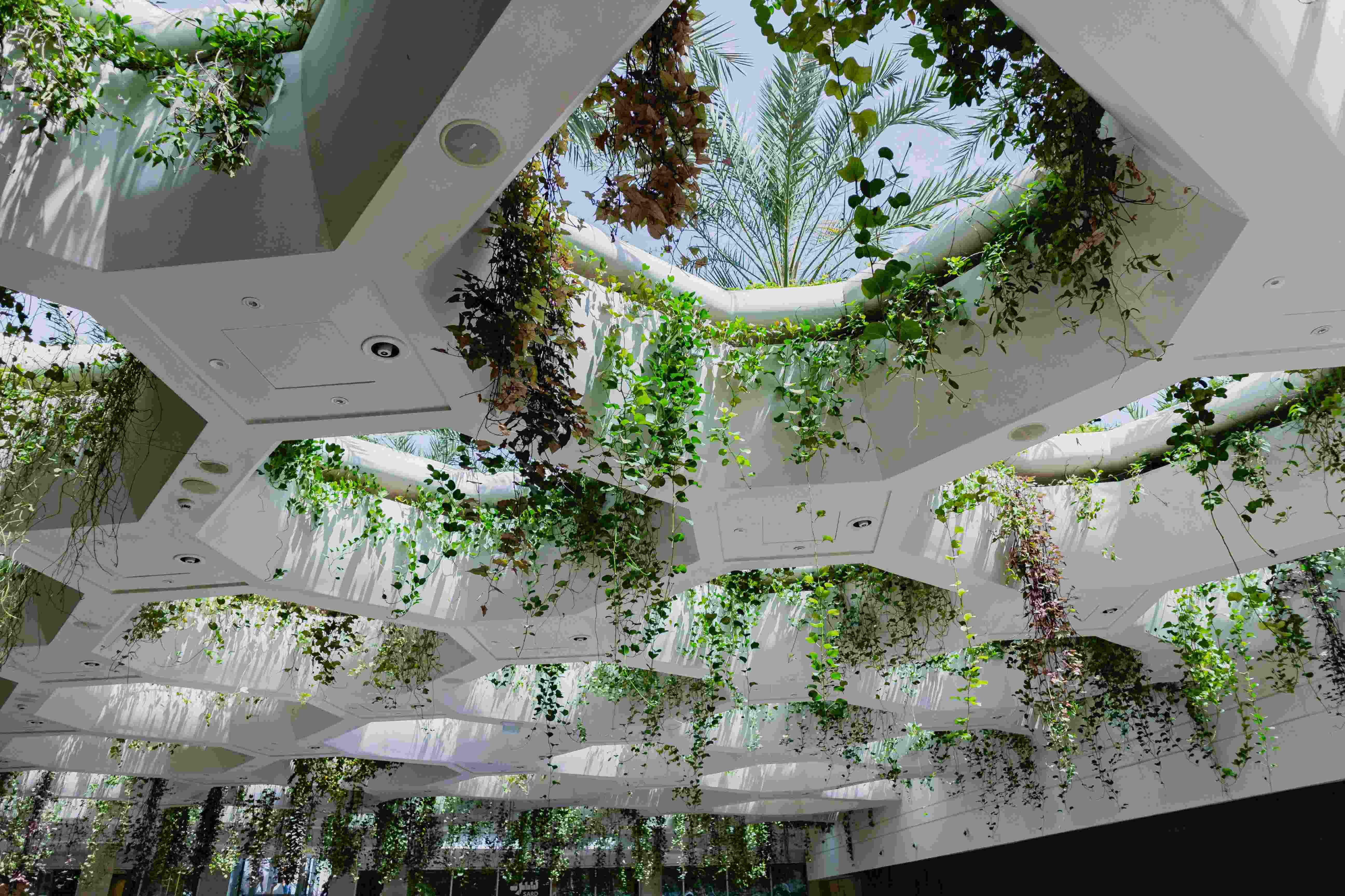 What to Look for in an Embedded Payments Provider