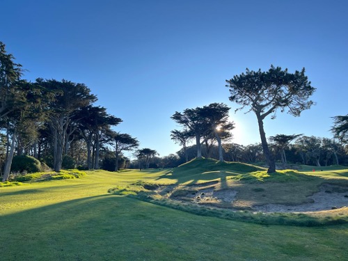 Bay Area FEGC