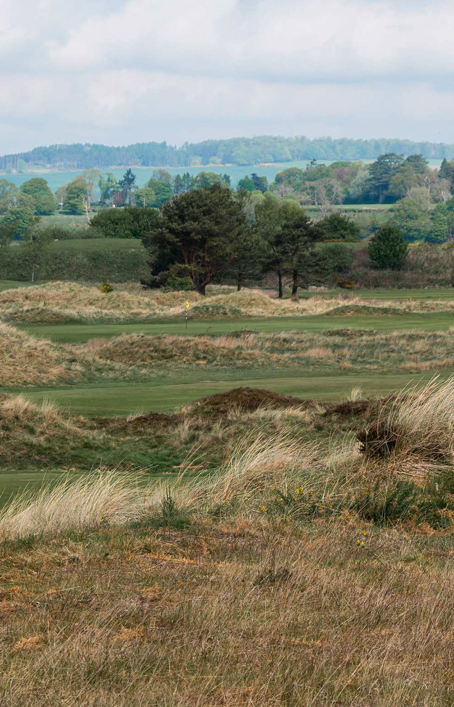 Panmure Golf Club Scotland