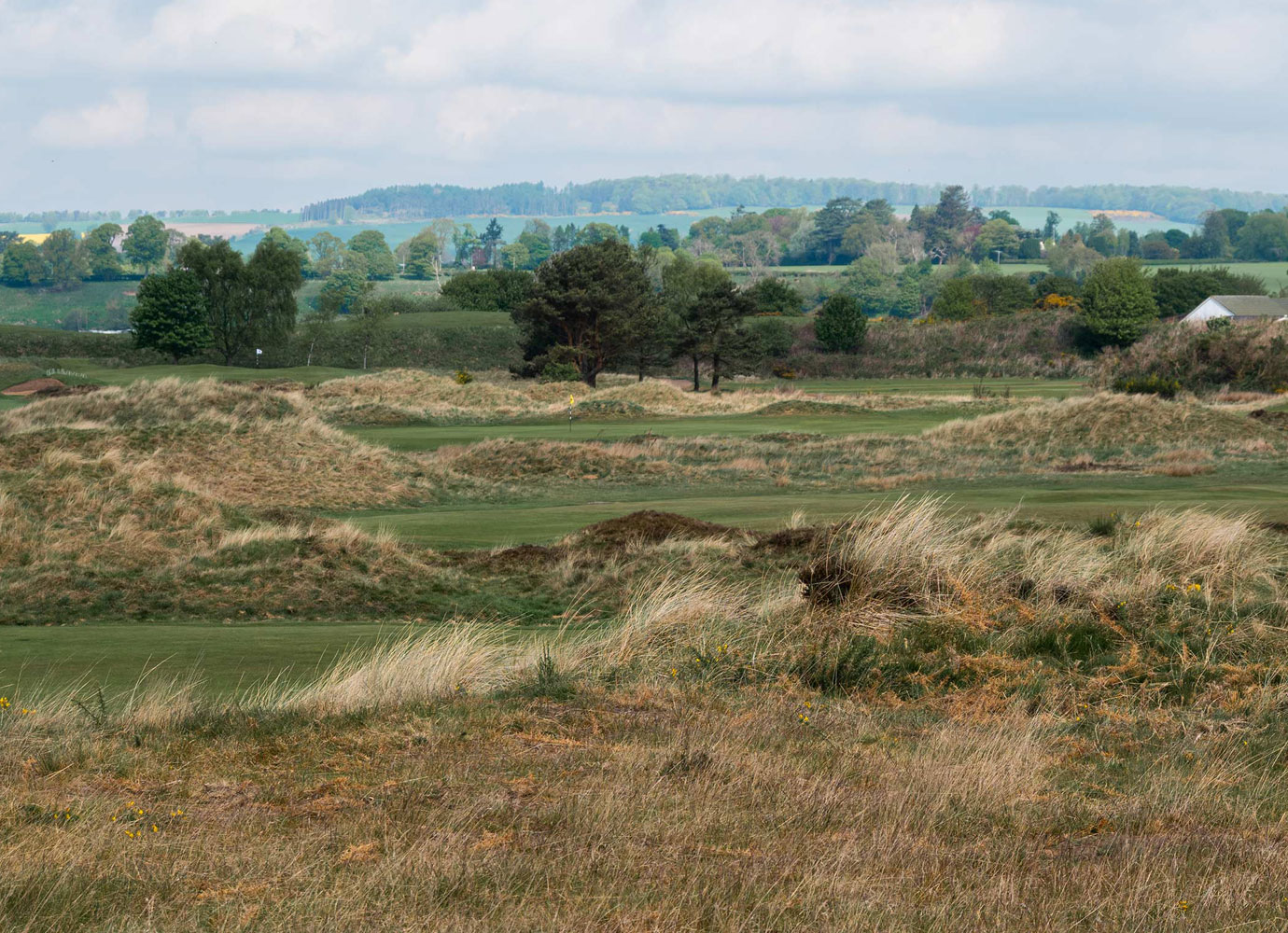 Panmure Golf Club Scotland
