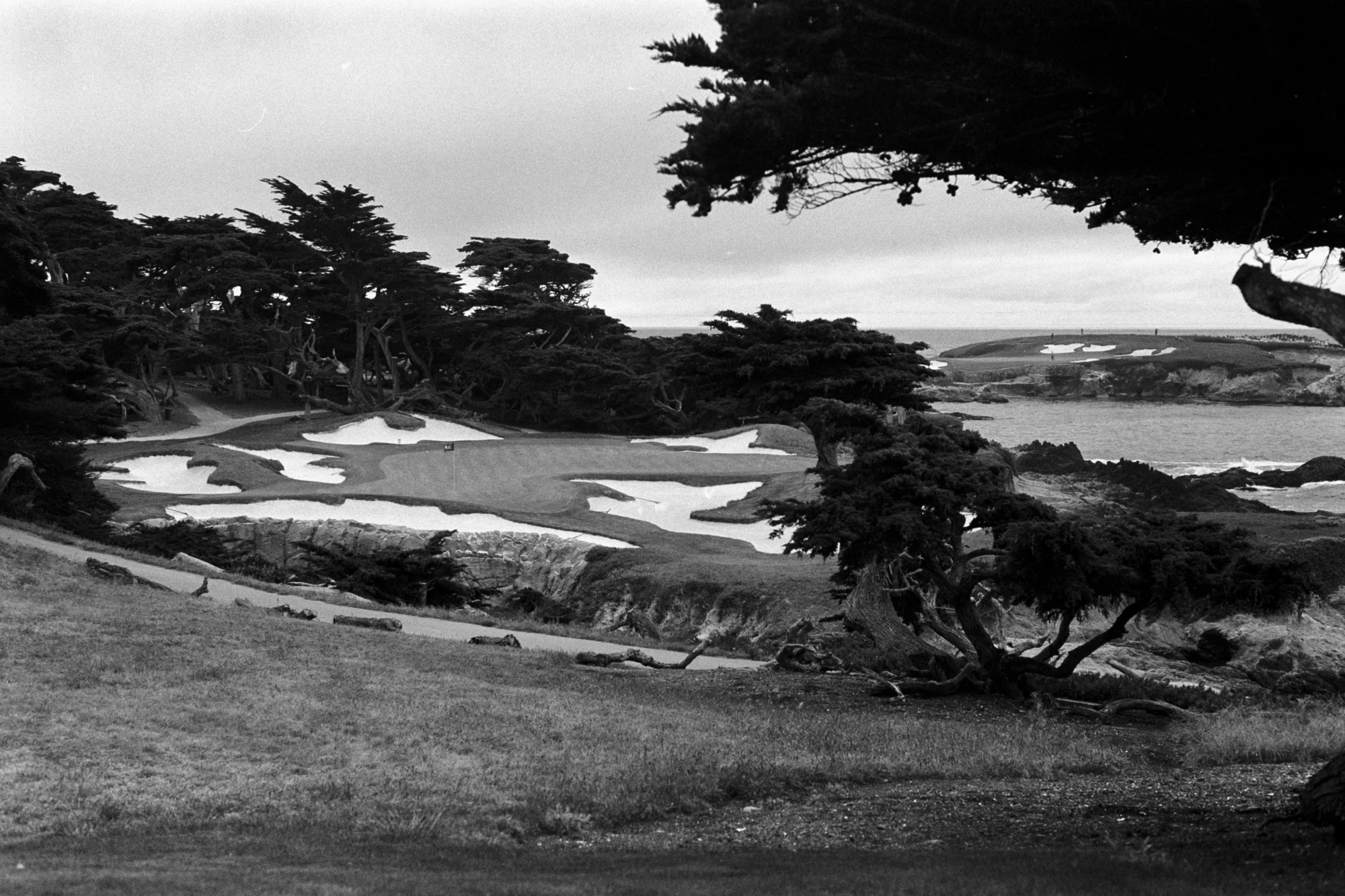 Hole 15 at Cypress Point