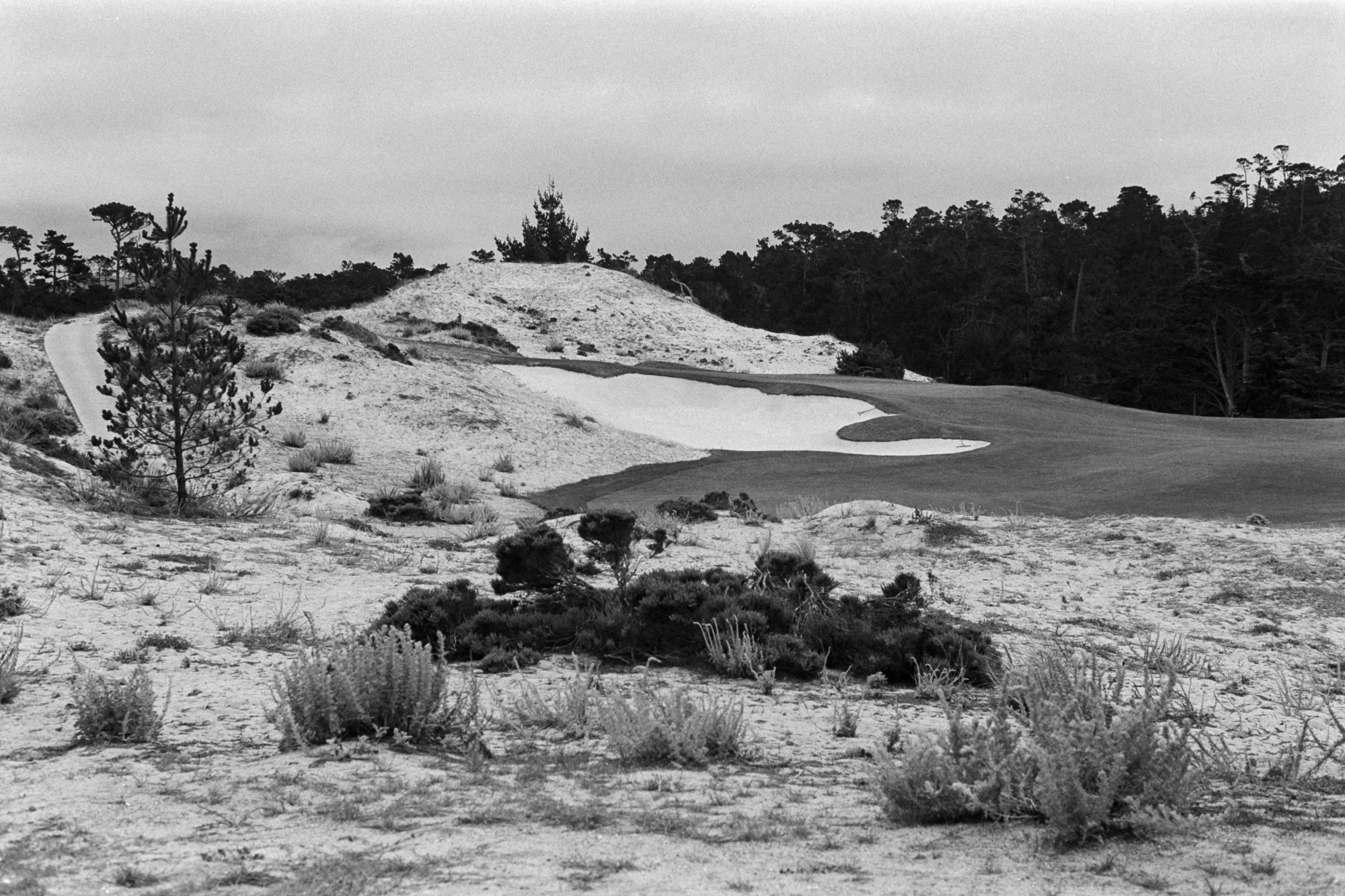 Hole 9 at Cypress Point