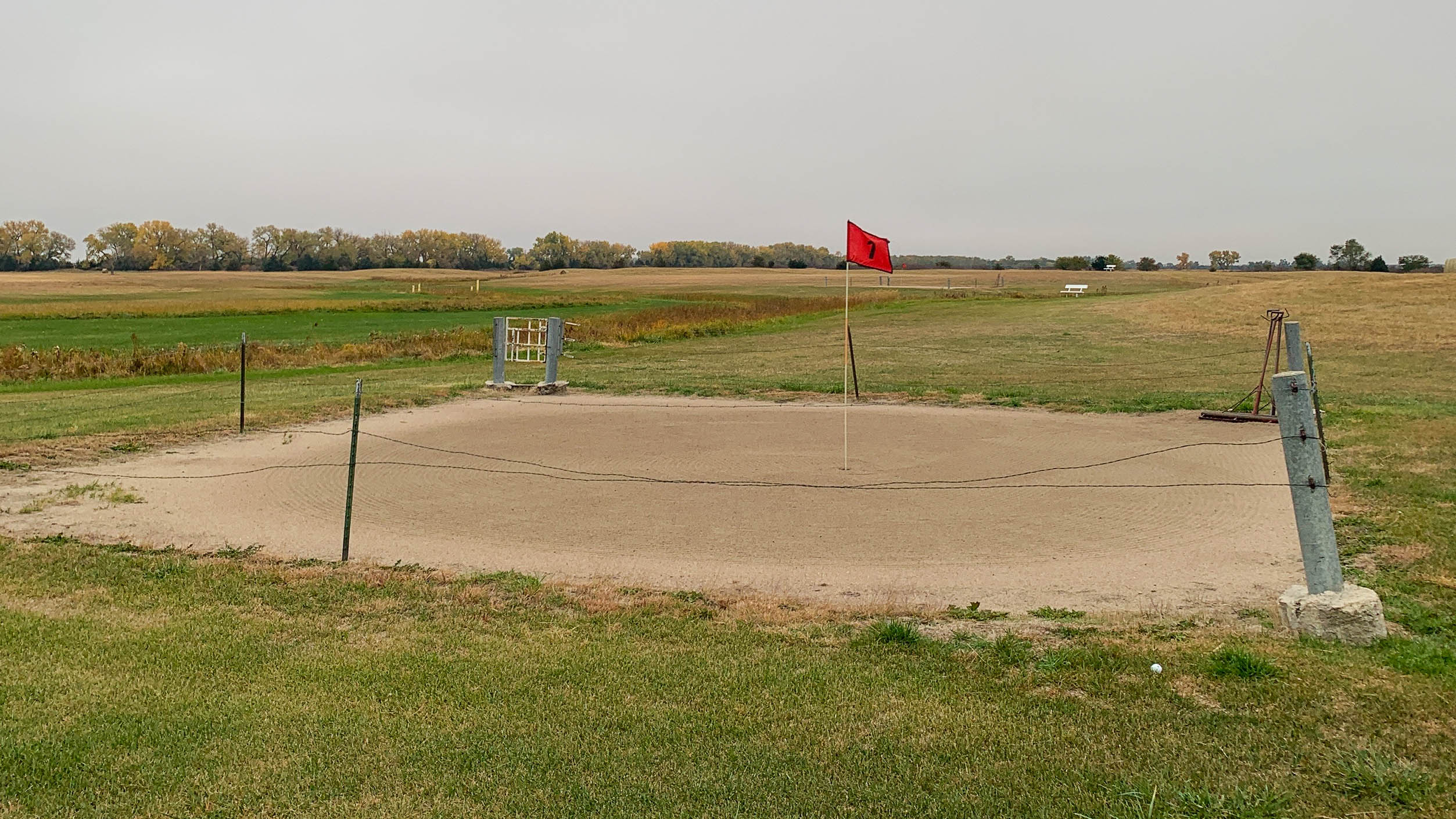 Seventh green at Dannebrog (Fried Egg Golf)