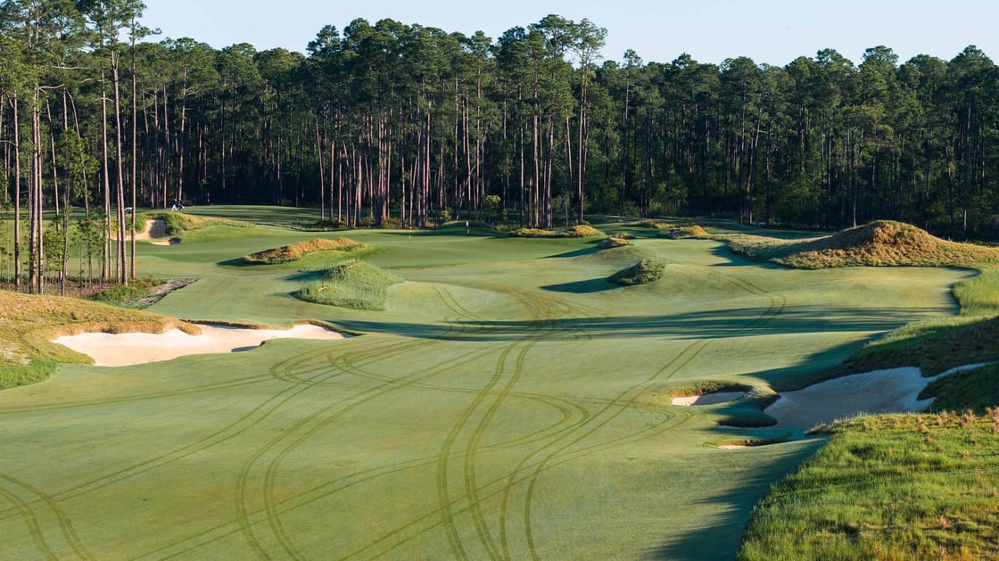 DJI_20240405052318_0082_D