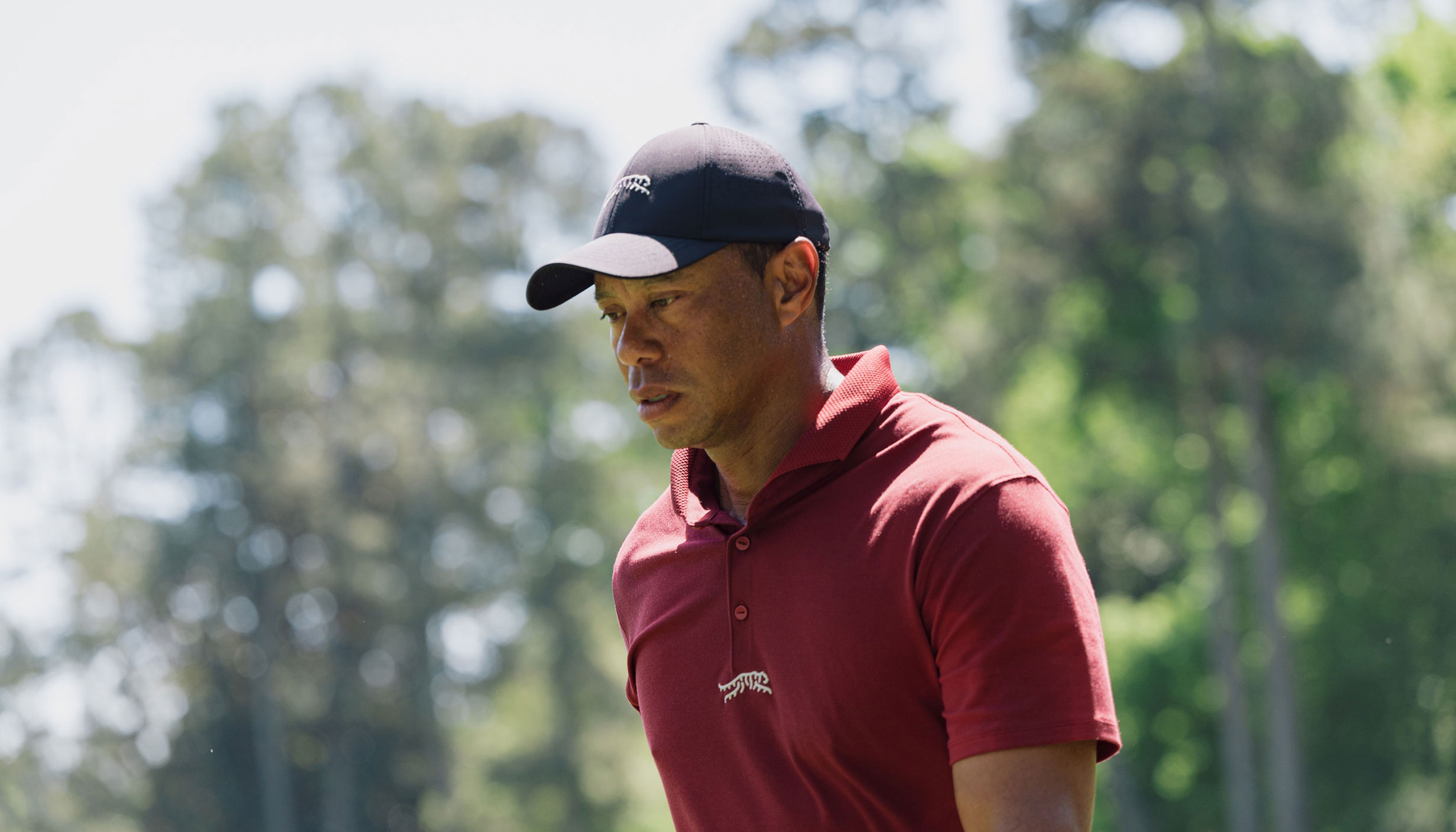 Tiger Woods Birthday