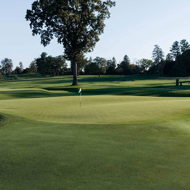 Aronimink greens