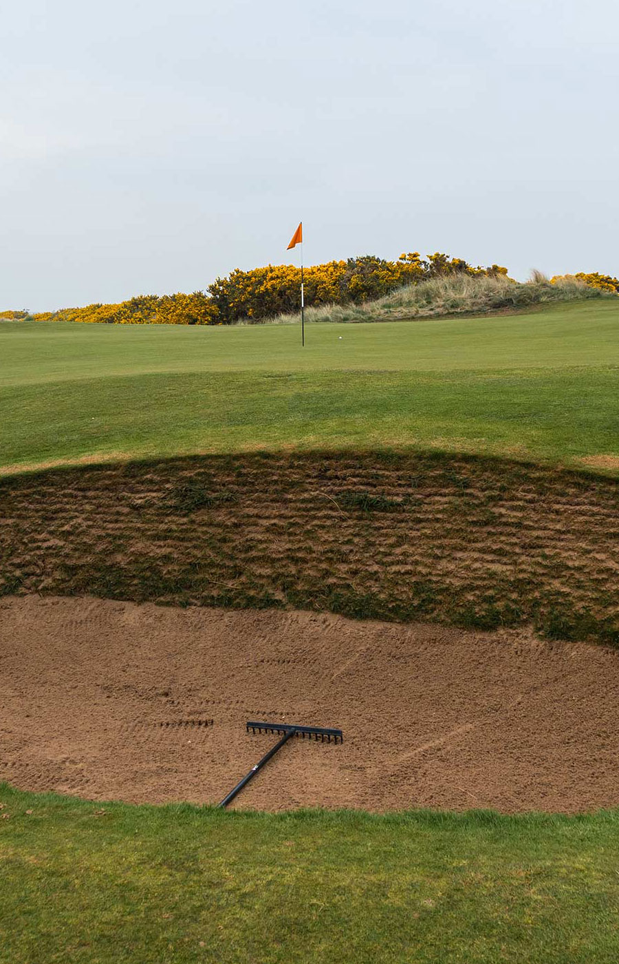 New Course at St. Andrews