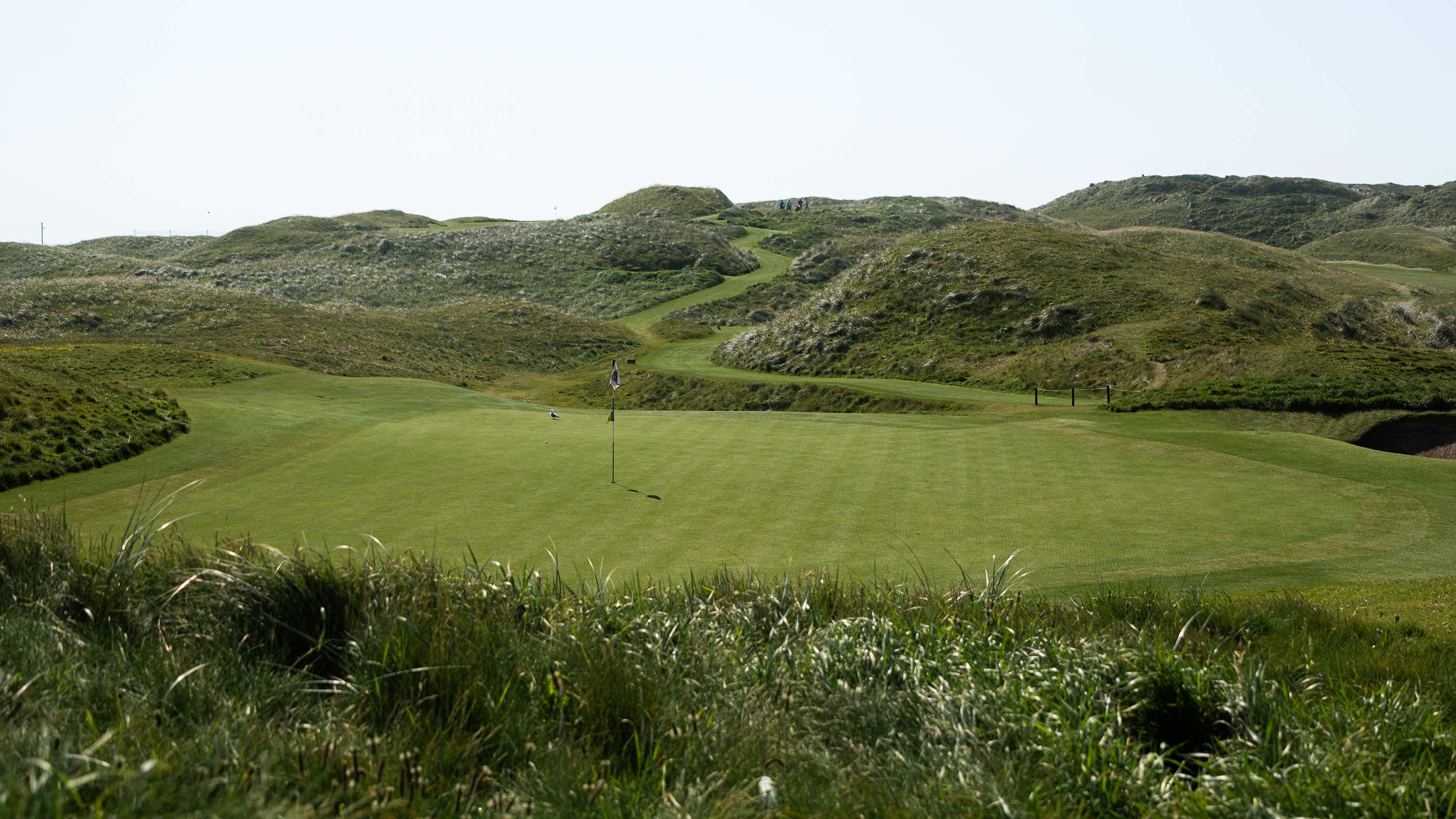 The 15th green at Ballybunion Old (Fried Egg Golf)