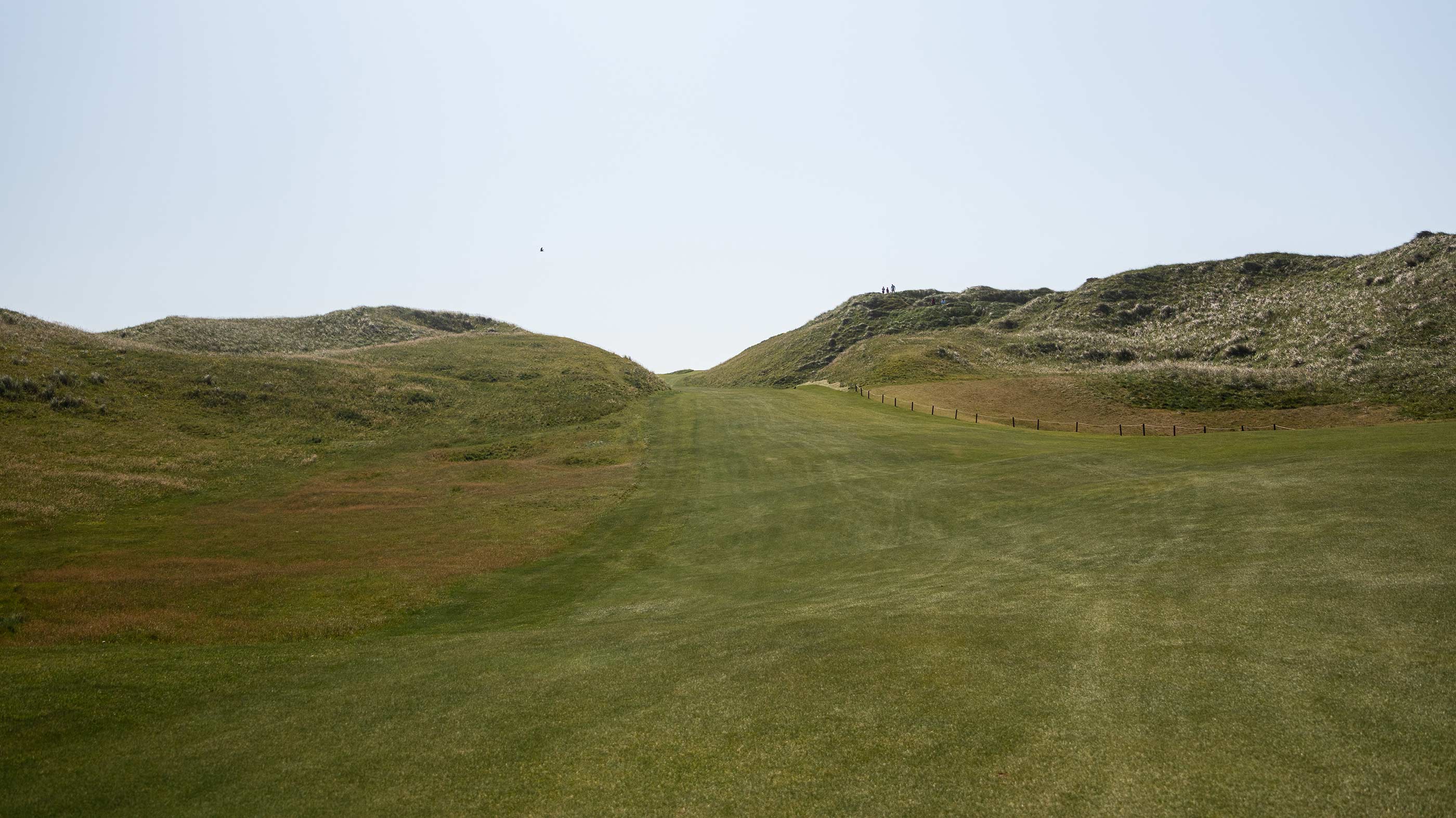 Semi-blind approach to the 16th green at Ballybunion Old (Fried Egg Golf)