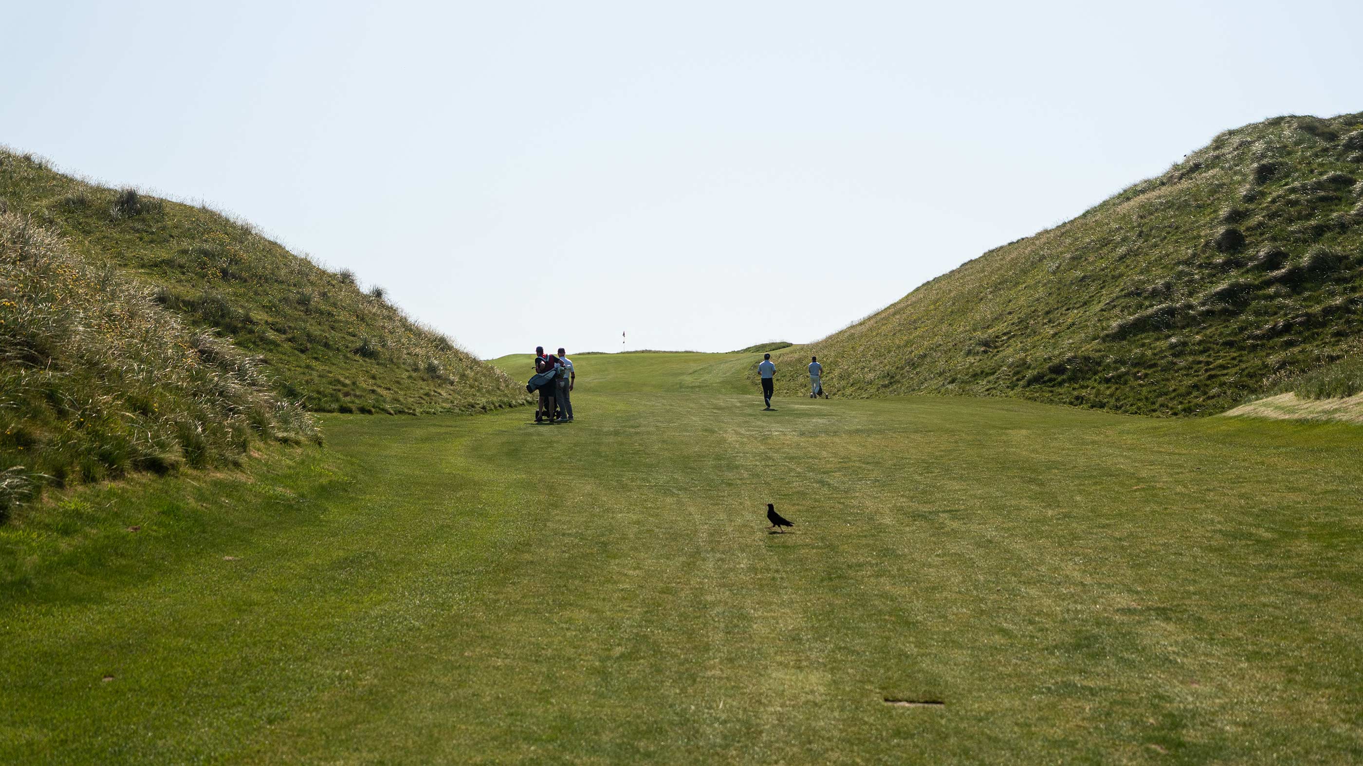 Approaching the 16th green at Ballybunion Old (Fried Egg Golf)