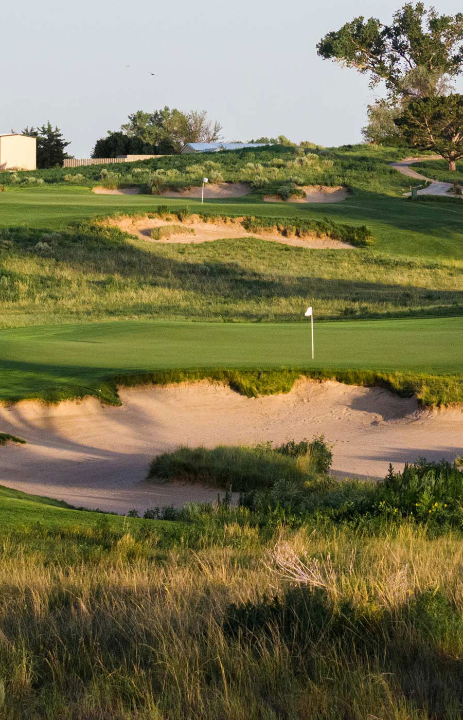 Buffalo Dunes