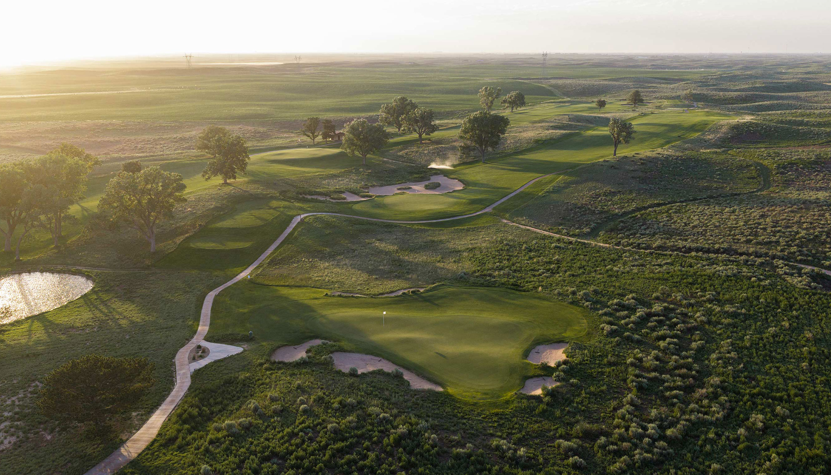 Buffalo Dunes