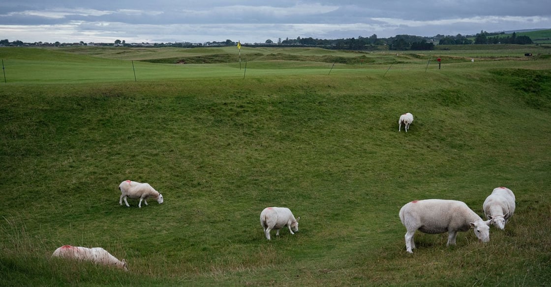brora-SEO