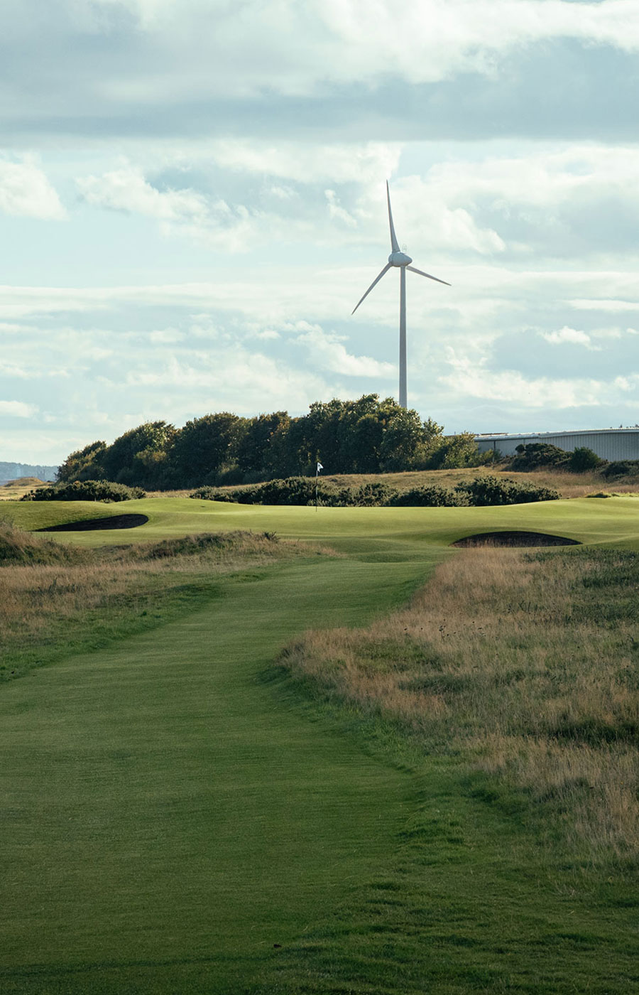 Royal Aberdeen