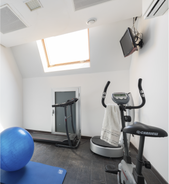 Mojo Doge Casa House Gimnasio