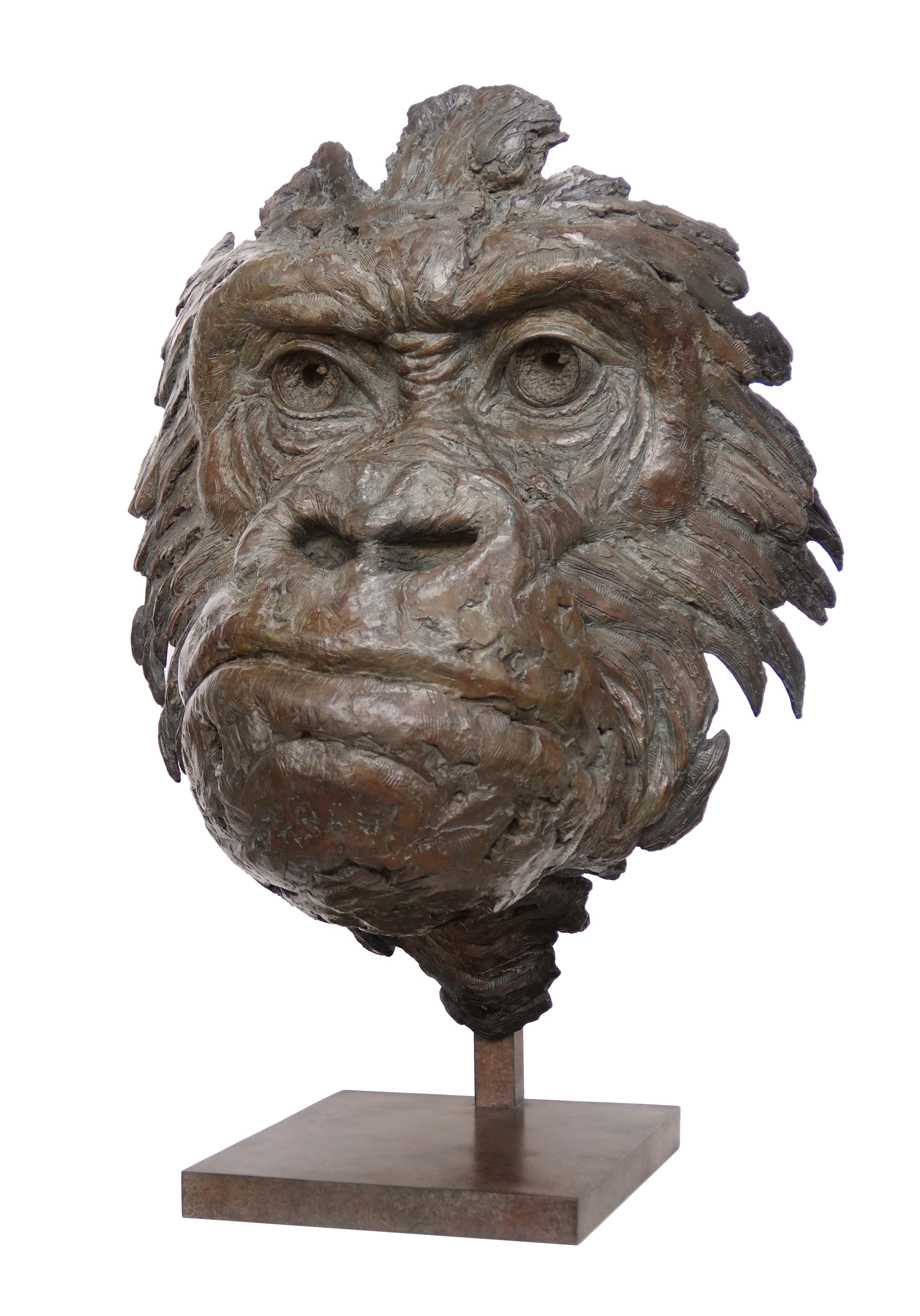 Sculpture en bronze d un gorille par Pierre-Jean Chabert – A striking wildlife artwork capturing the intensity and wisdom of the primate. Détails sculptés avec finesse, expression puissante et patine subtile mettant en valeur la présence majestueuse du gorille. A unique masterpiece by a renowned wildlife sculptor. 