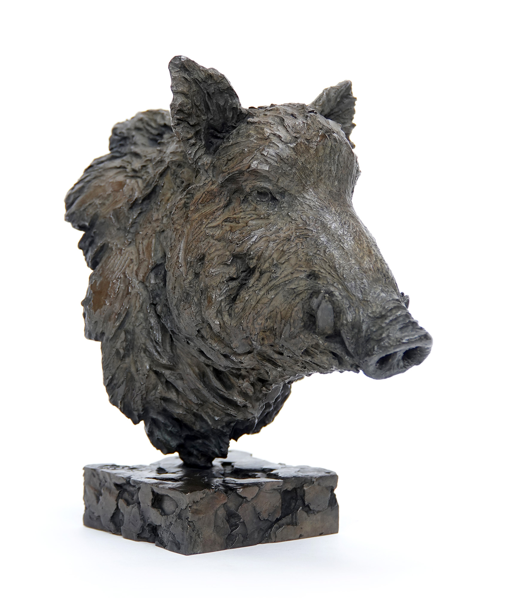 Bronze animal sculpture depicting a wild boar head, “Le Baron”, artwork by French sculptor Pierre-Jean Chabert.