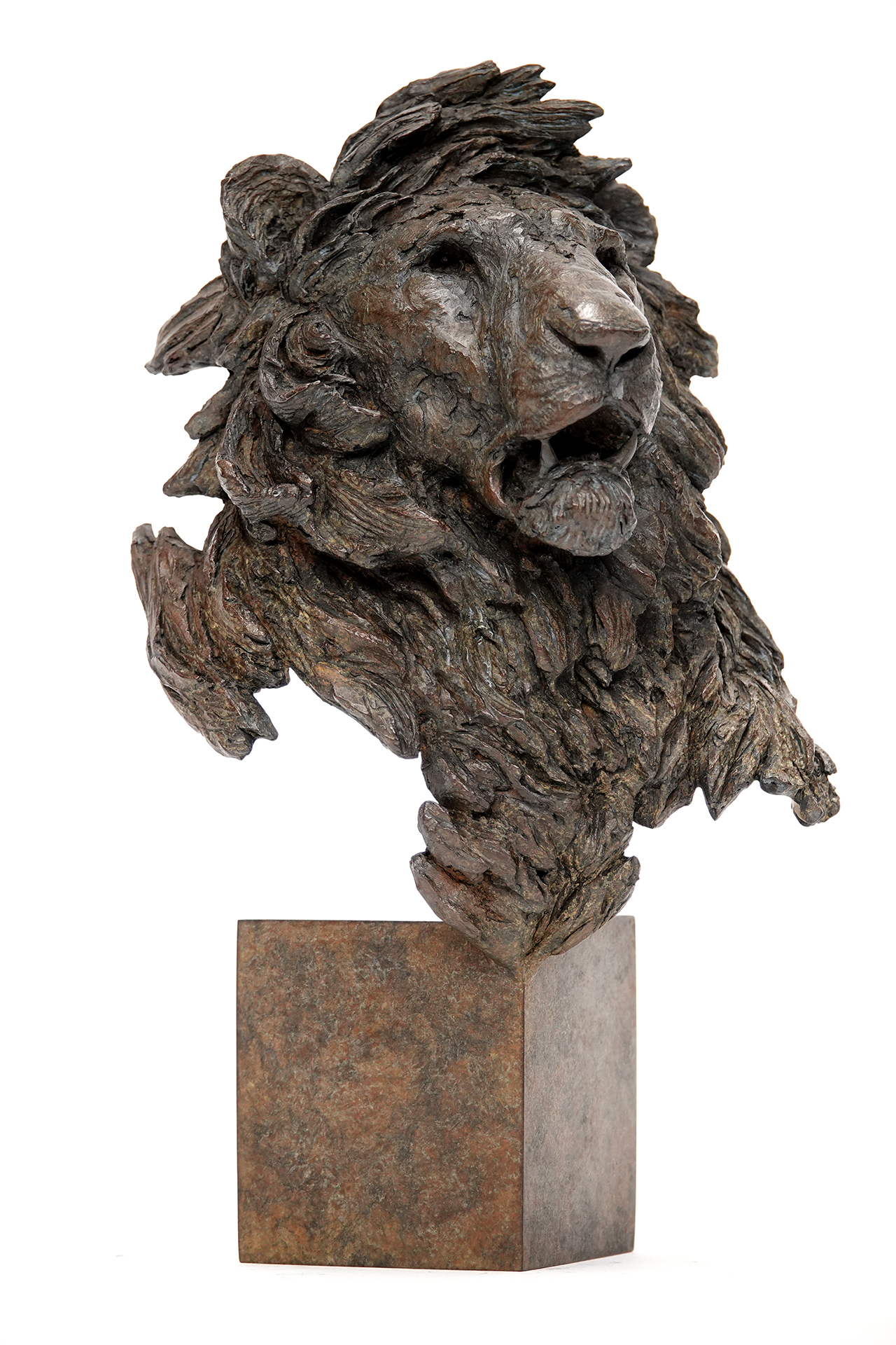 Sculpture en bronze intitulée Sauvage par Pierre-Jean Chabert représentant un lion au rugissement puissant, capturant la force brute et la majesté du roi des animaux. Bronze sculpture titled Sauvage by Pierre-Jean Chabert depicting a roaring lion, capturing the raw power and majesty of the king of animals.