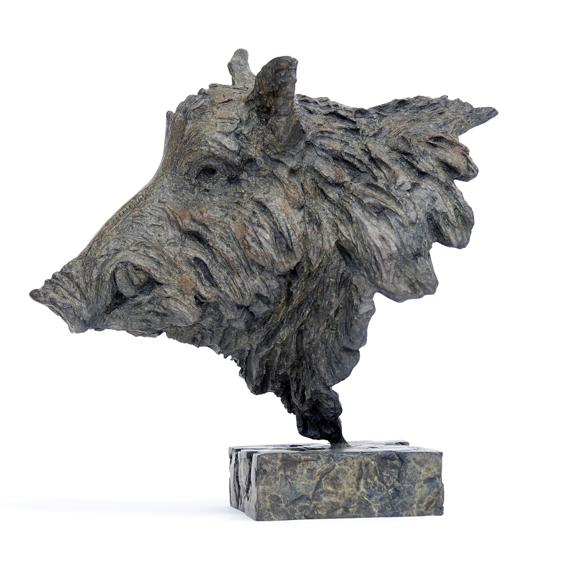 Bronze animal sculpture depicting a wild boar head, “Le Baron”, artwork by French sculptor Pierre-Jean Chabert.