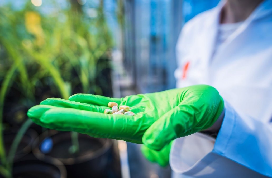 Inari engineers more resilient crop seeds in Massachusetts