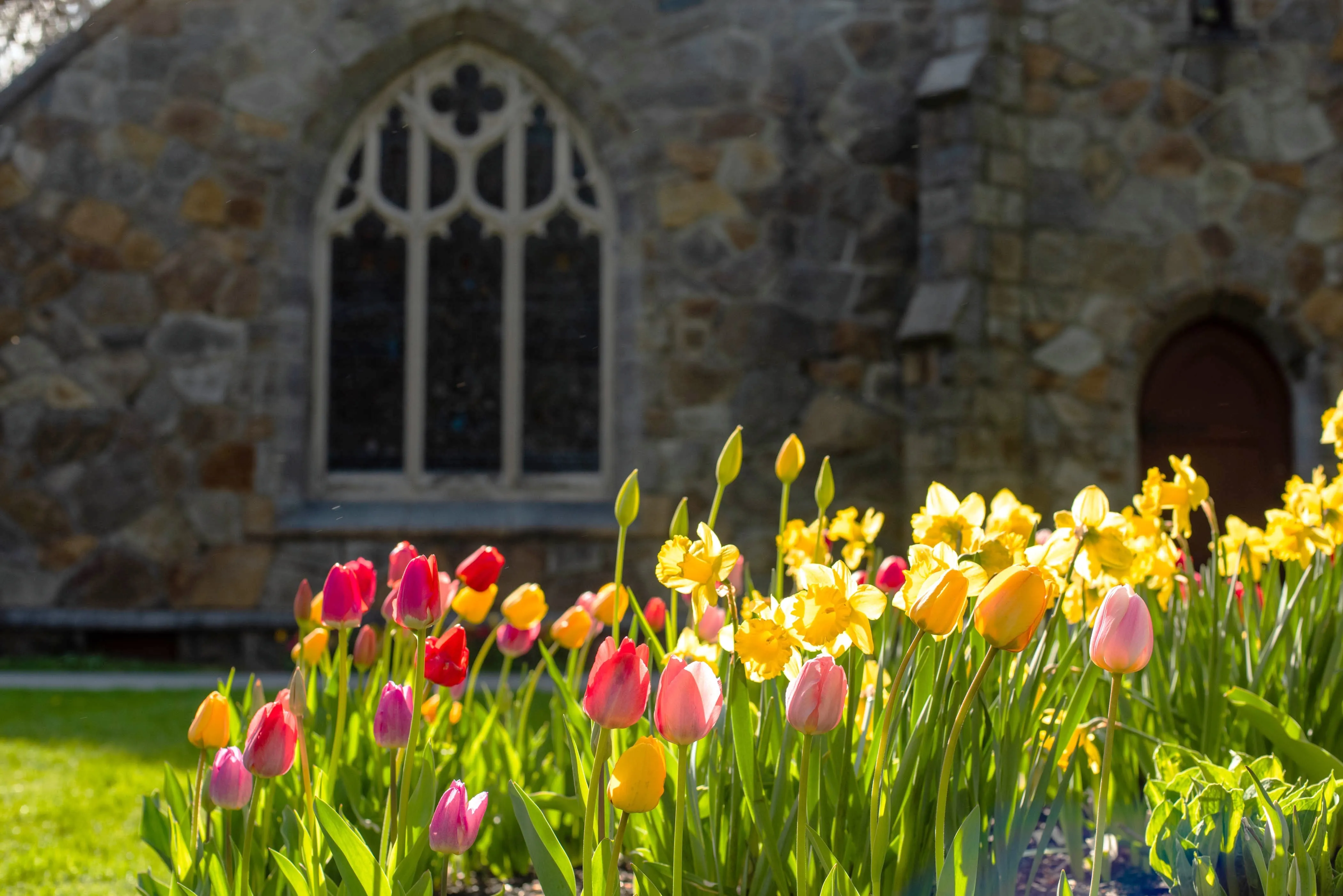 Harmony Grove Cemetery
