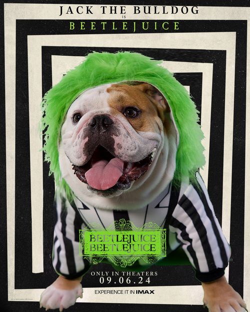 Jack the Bulldog is dressed as Beetlejuice in a striped suit and green wig, set against a black and white background from the movie poster