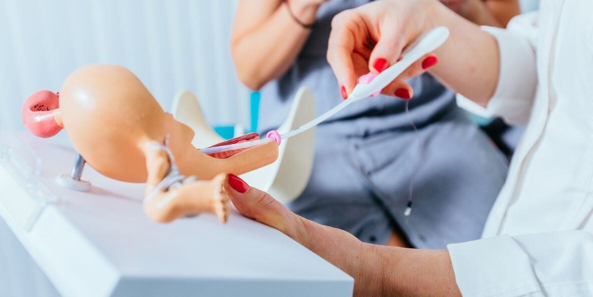 Number of IUI cycles attempted