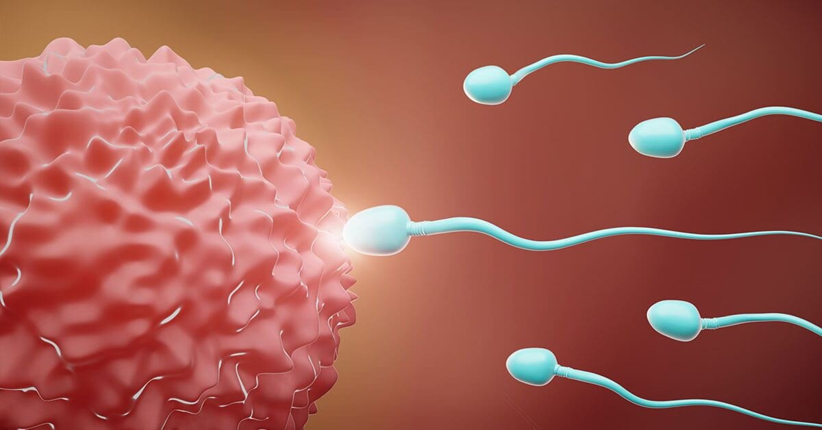 Sperm count and motility