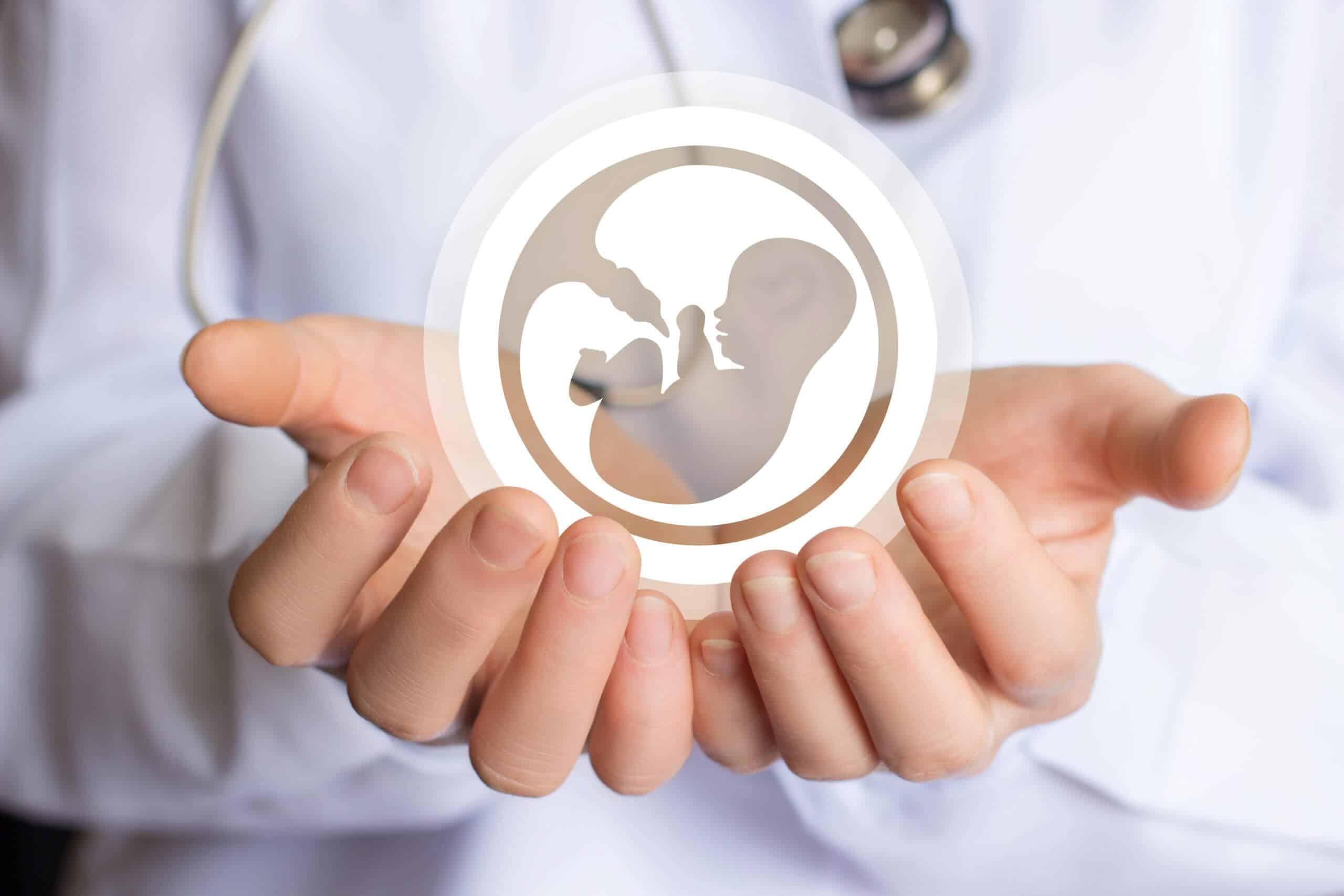 Role of Anti Mullerian Hormone(AMH) in Reproduction