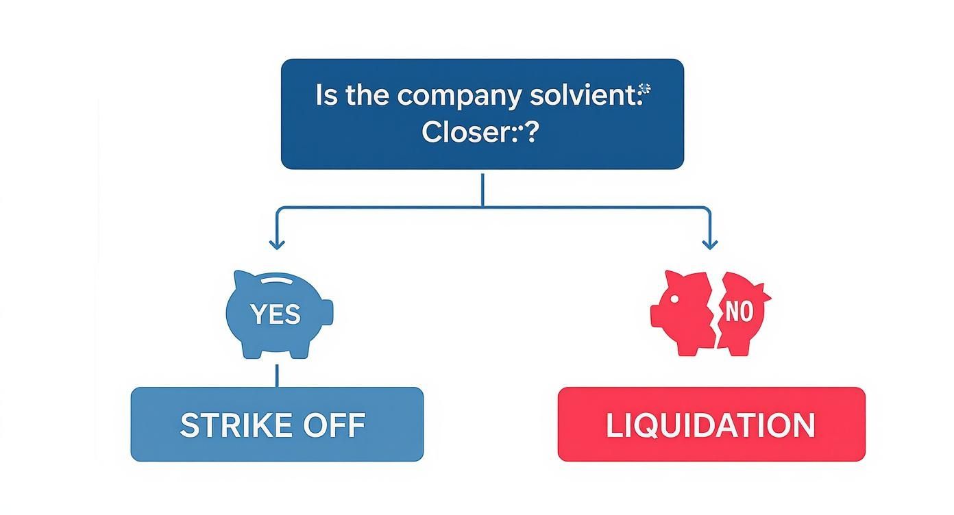 Infographic about how to close limited company