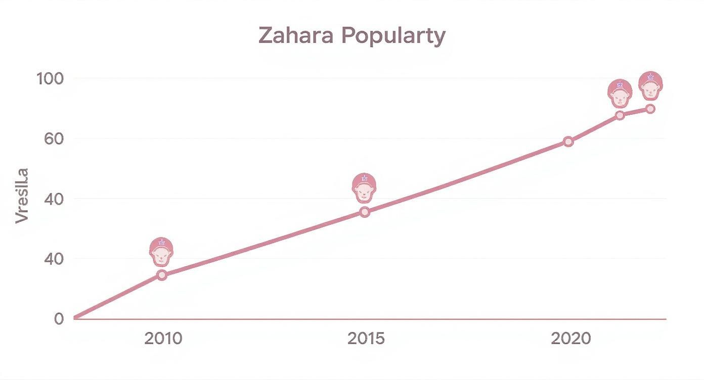 Infographic about zahara