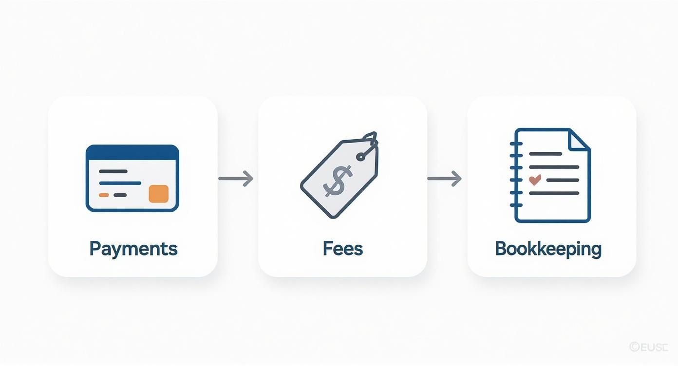 Infographic about stripe