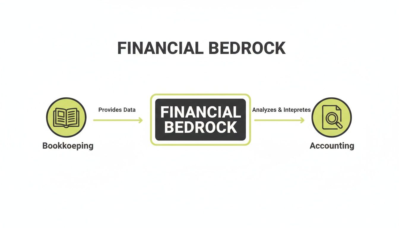 Flowchart illustrating bookkeeping providing data to financial bedrock, which informs accounting processes.