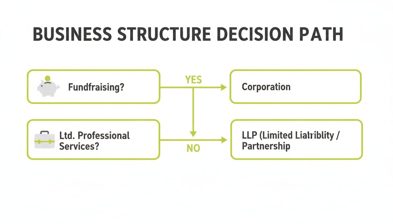 Flowchart outlining business structure decisions: fundraising leads to corporation, while no professional services leads to LLP.