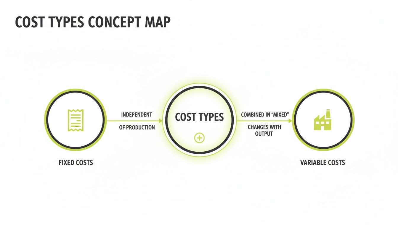 A concept map showing cost types, separating fixed costs (independent of production) and variable costs (changes with output).