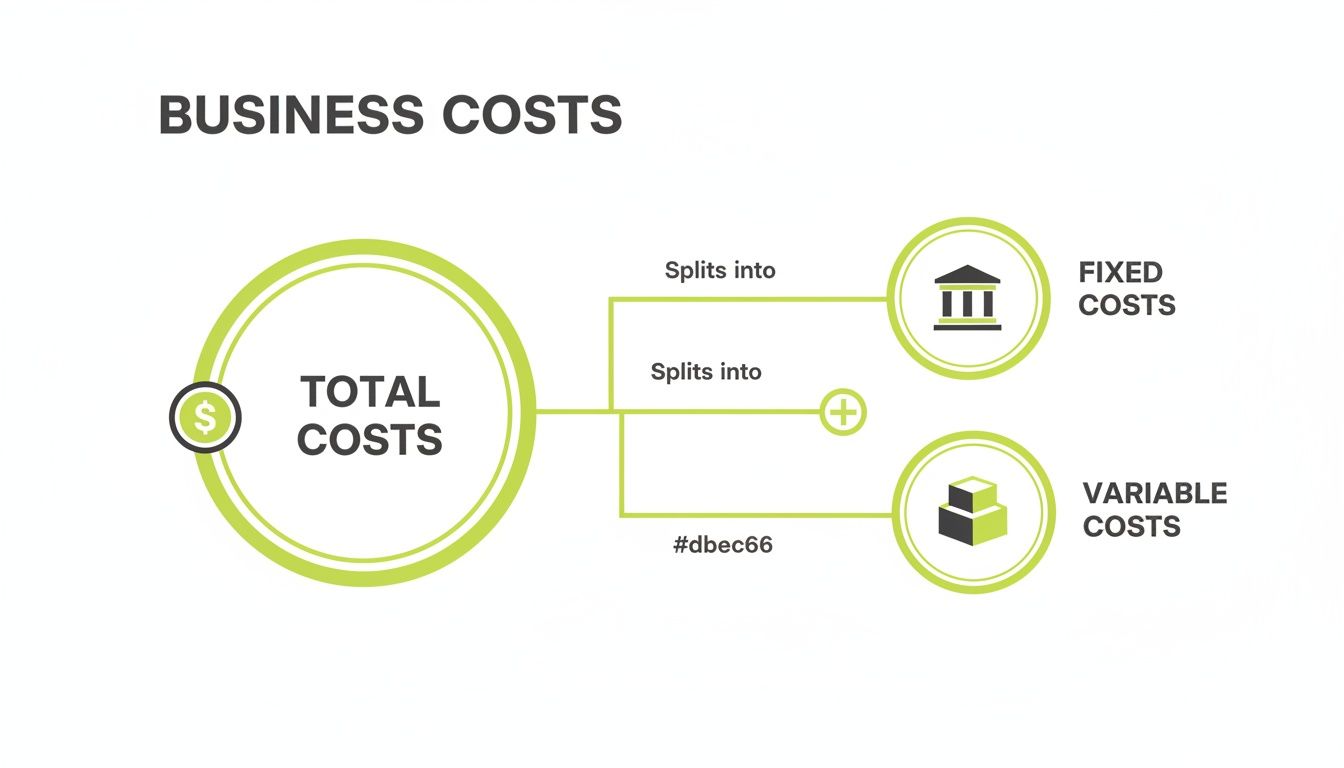 Diagram illustrating business costs, showing total costs splitting into fixed and variable costs.