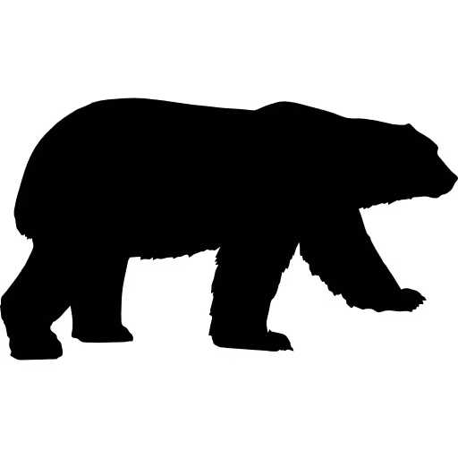 Black Bear Icon 2