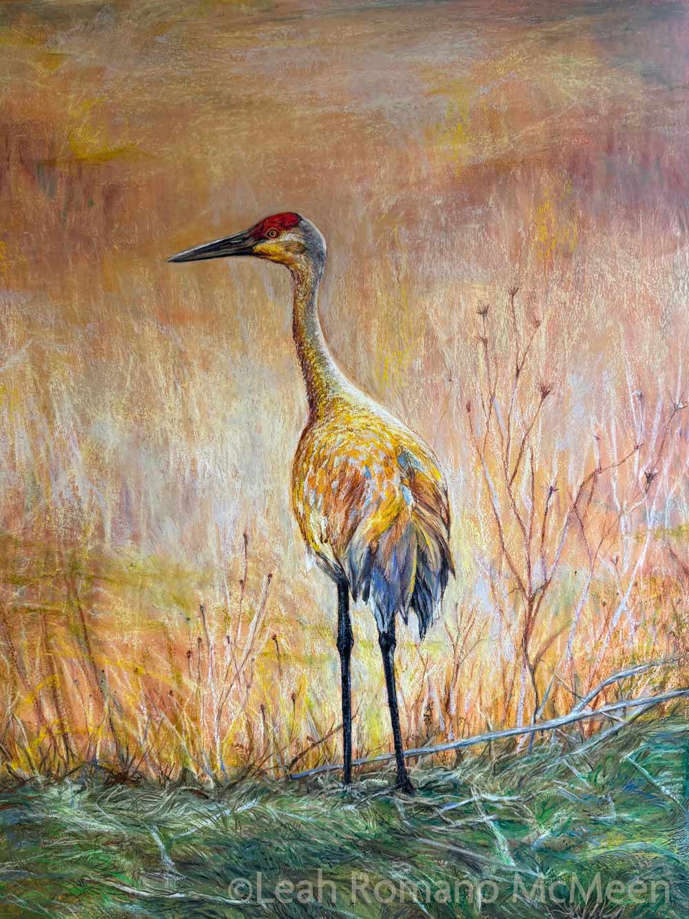Sandhill Crane - Golden Hour Crane Painting