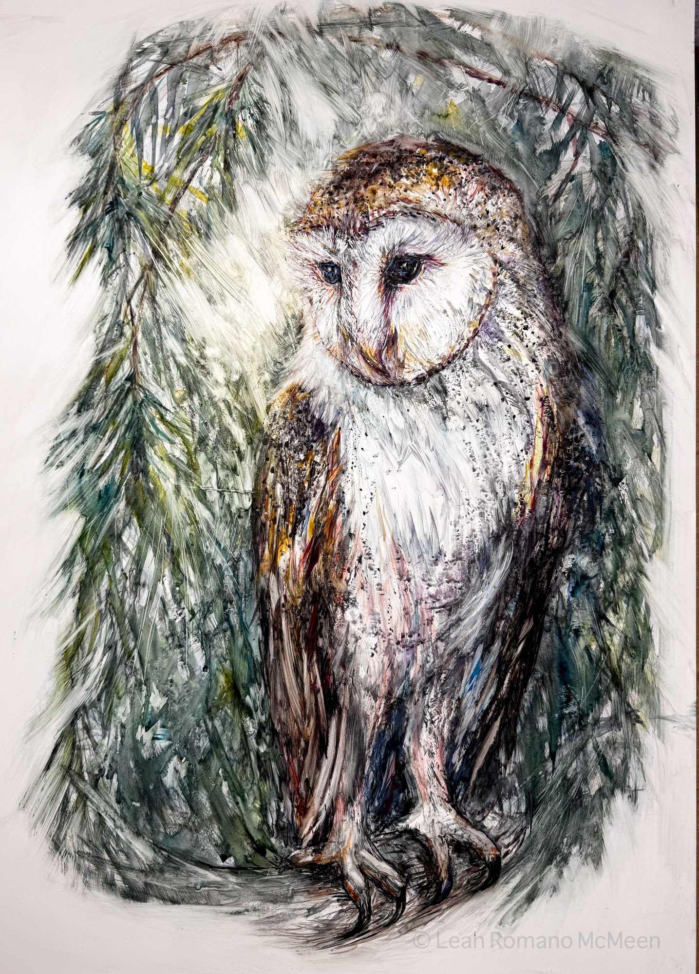 Barn Owl In The Evergreens watercolor