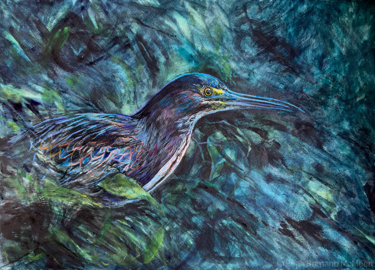 Green Heron watercolor painting
