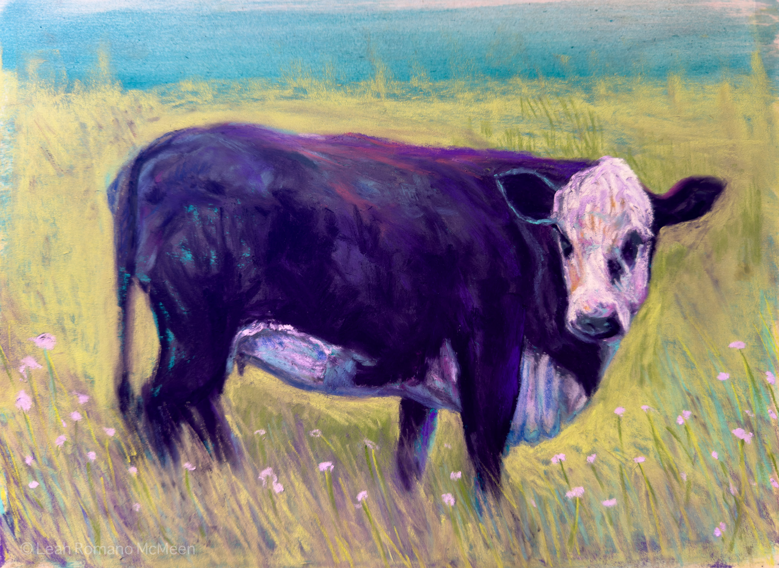 Cow In The Color Field