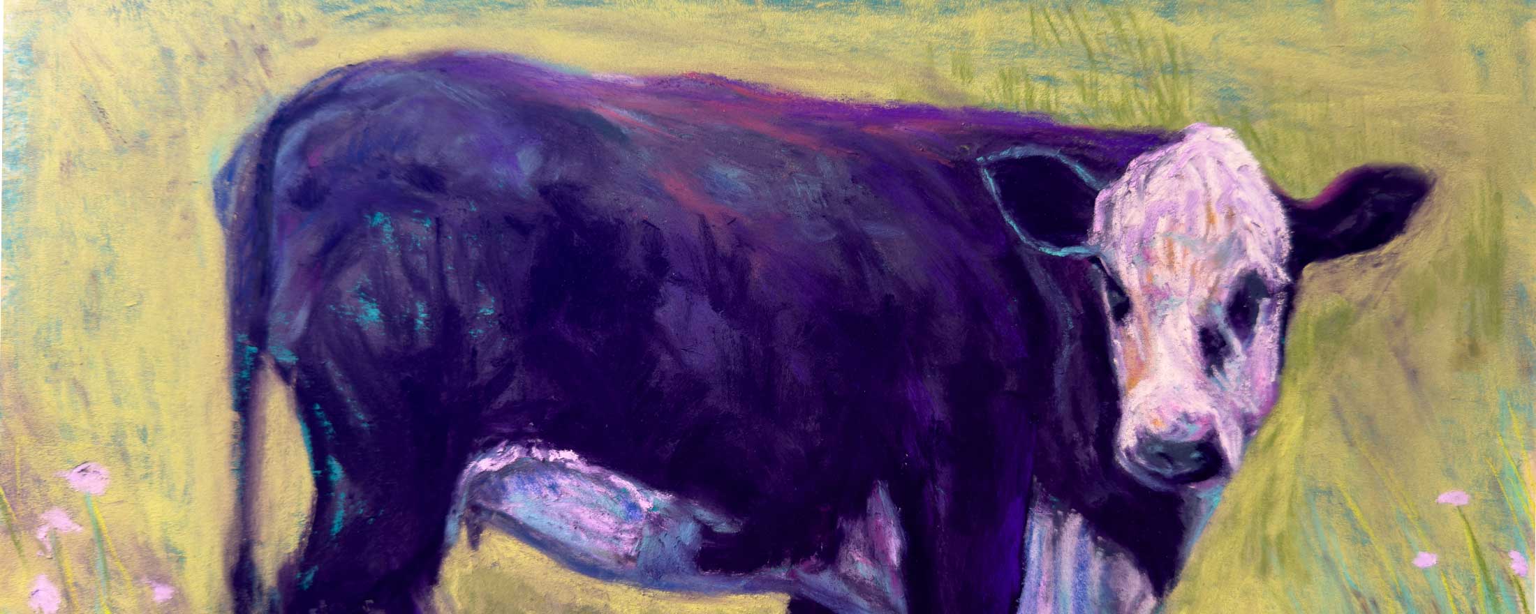 Cow In The Color Field