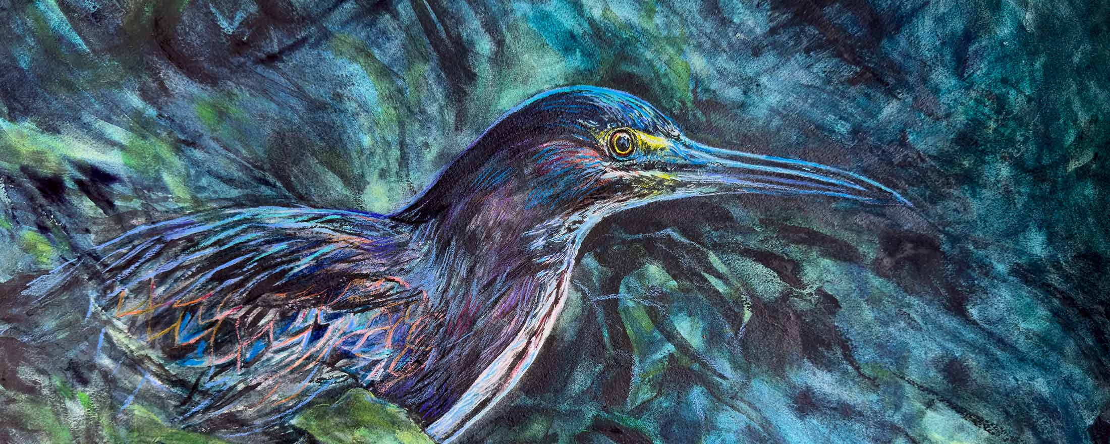 Nightwatcher, The Green Heron