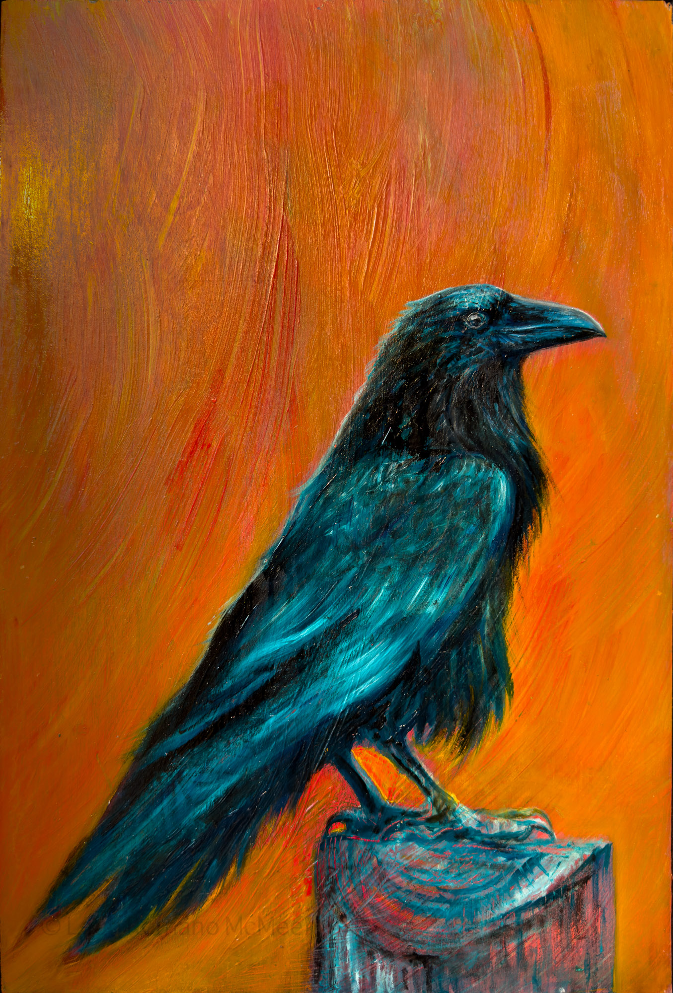 Raven In Orange
