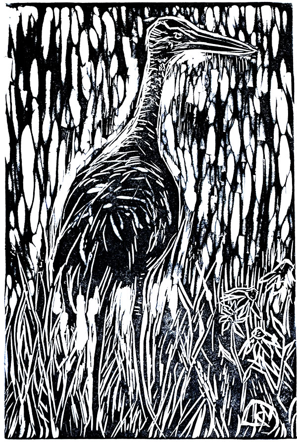 Black and white hand-pulled linocut print of a sandhill crane standing in tall marsh grasses