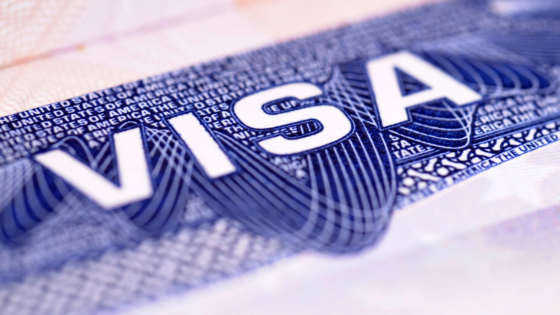 Close-up of US visa text on official document with security features visible