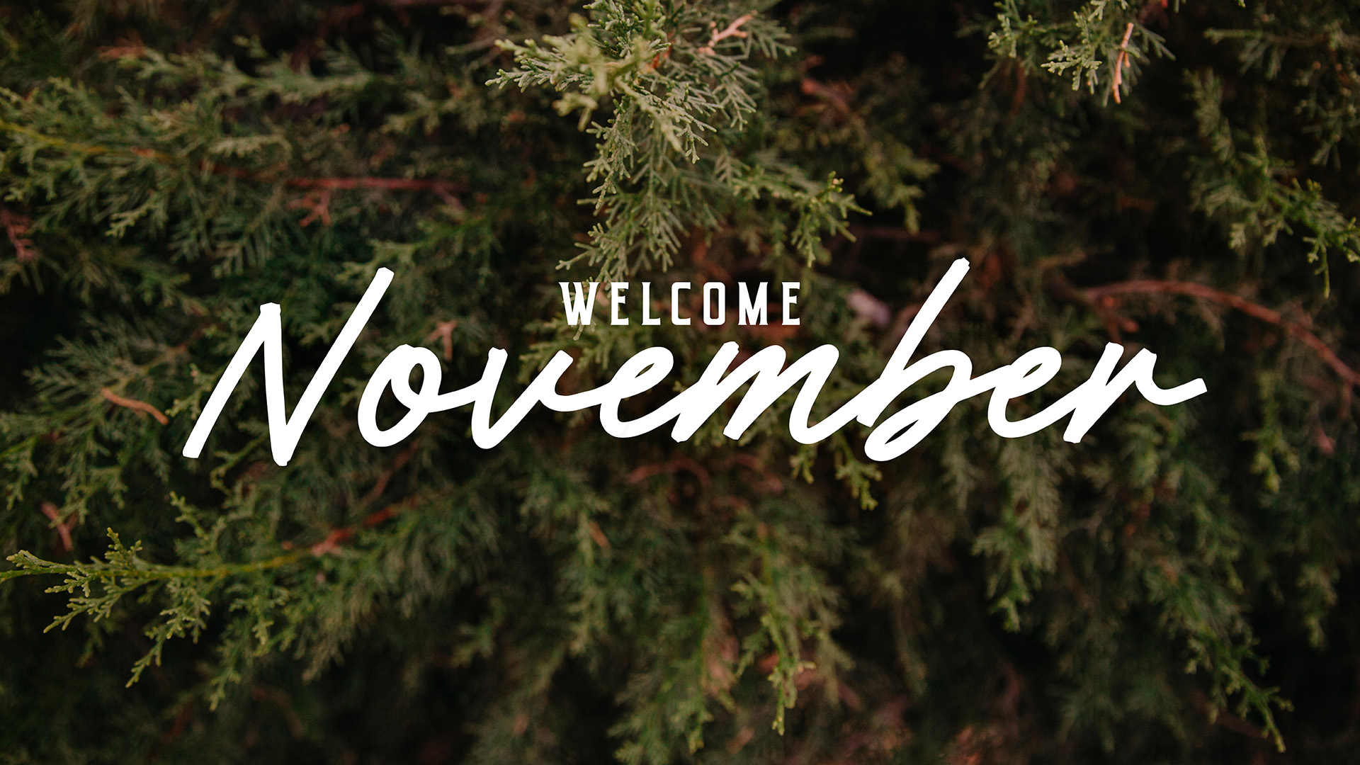 November themed image, November 2025 visa bulletin