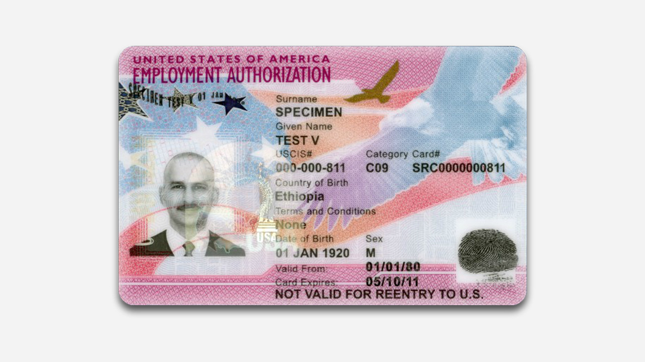 Sample US employment authorization document card, automatic EAD extension categories update